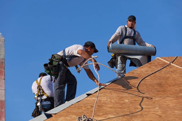 Best Gutter Installation and Roofing  in Lasalle, IL